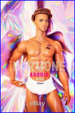 NRFB Mizi Adonis male doll Hormones No. 1 Fashion Royalty homme